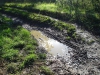 Muddy_puddle_on_Drake_Lane_-_geograph_org_uk_-_230217