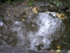 Rain_drops_in_a_puddle_by_yoghurtinator_stock