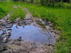 mud-puddle